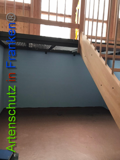 © Artenschutz in Franken® Bild zum Eintrag (1044569-160)