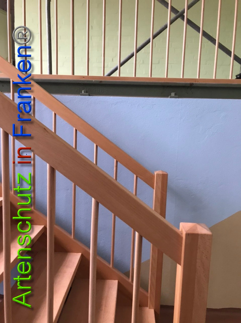 © Artenschutz in Franken® Bild zum Eintrag (1044570-160)
