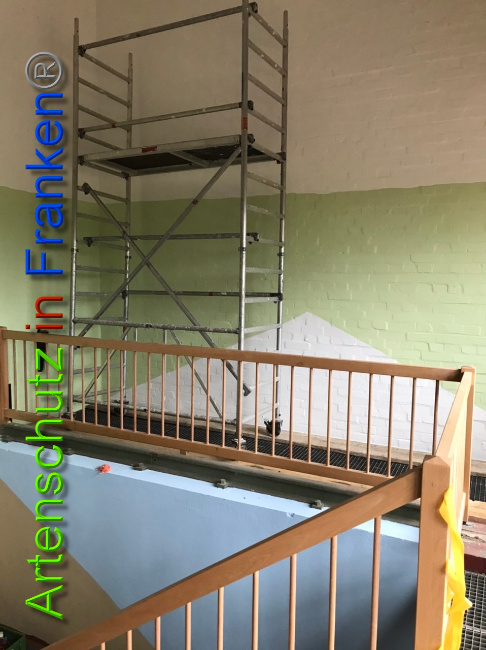© Artenschutz in Franken® Bild zum Eintrag (1044573-160)