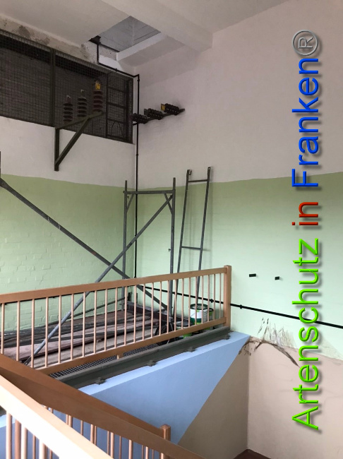 © Artenschutz in Franken® Bild zum Eintrag (1044574-160)