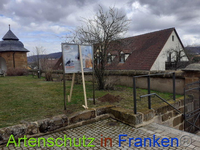 Bild zum Eintrag (1044682-160)