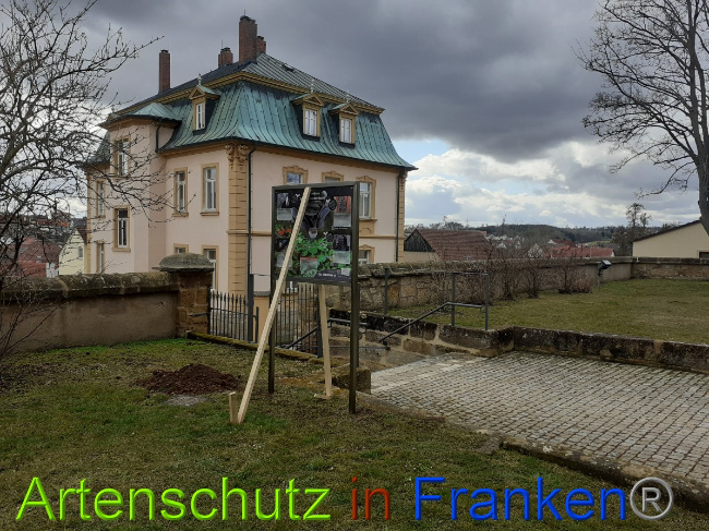 Bild zum Eintrag (1044683-160)