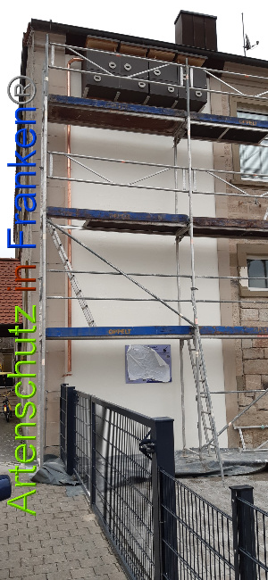 © Artenschutz in Franken® Bild zum Eintrag (1044694-160)