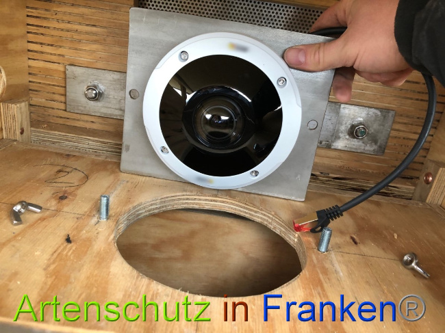 © Artenschutz in Franken® Bild zum Eintrag (1044695-160)
