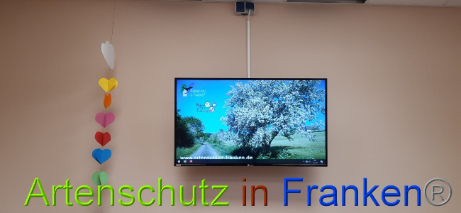 © Artenschutz in Franken® Bild zum Eintrag (1044703-160)