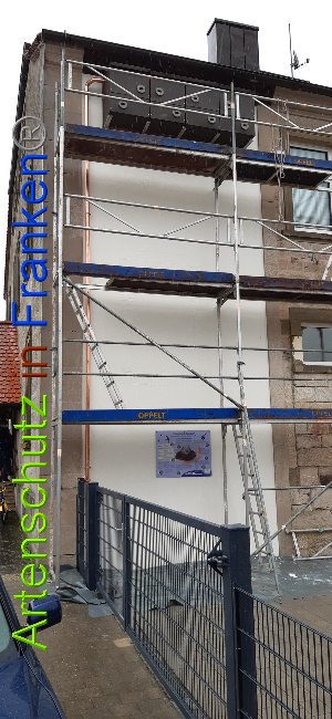 © Artenschutz in Franken® Bild zum Eintrag (1044705-160)