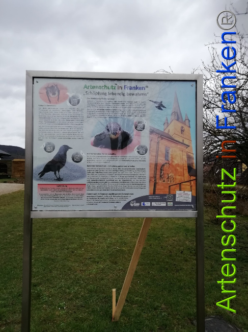 © Artenschutz in Franken® Bild zum Eintrag (1044747-160)