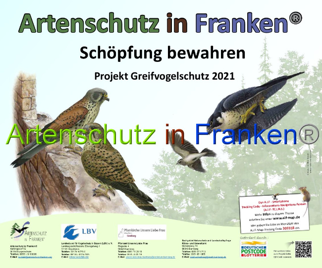 © Artenschutz in Franken® Bild zum Eintrag (1044751-160)