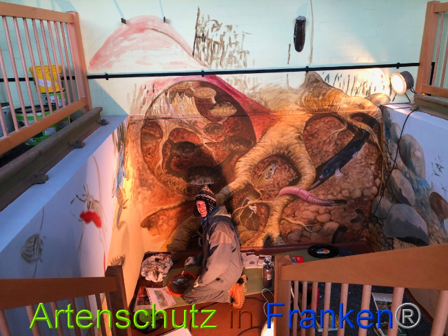© Artenschutz in Franken® / Francken Bild zum Eintrag (1044758-160)