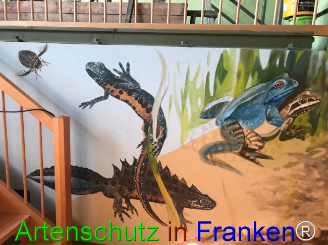 © Artenschutz in Franken® Bild zum Eintrag (1044941-160)