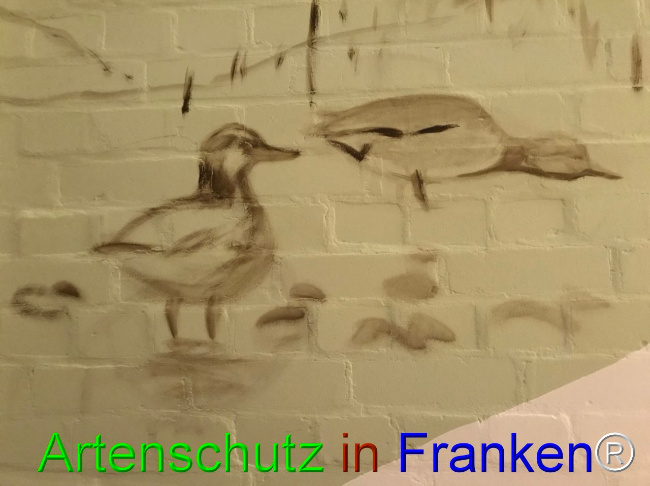 Bild zum Eintrag (1044946-160)