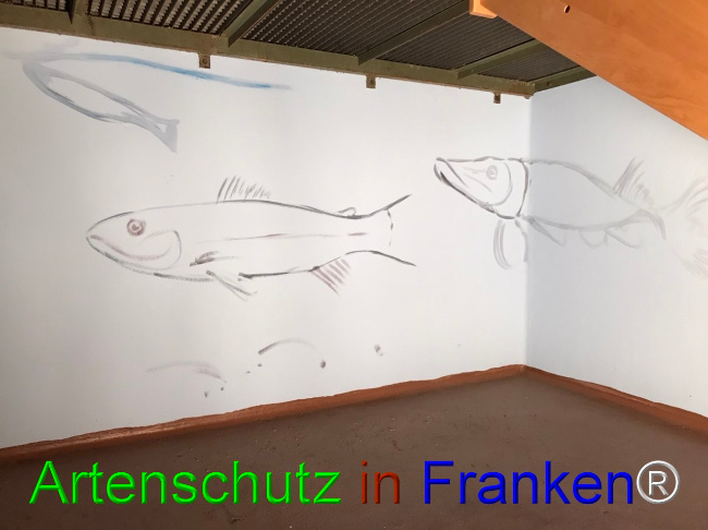 © Artenschutz in Franken® Bild zum Eintrag (1044949-160)