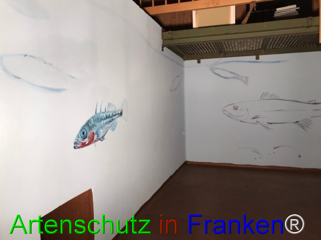 © Artenschutz in Franken® Bild zum Eintrag (1044952-160)