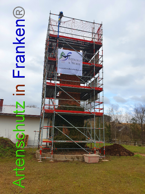 © Artenschutz in Franken® Bild zum Eintrag (1045041-160)