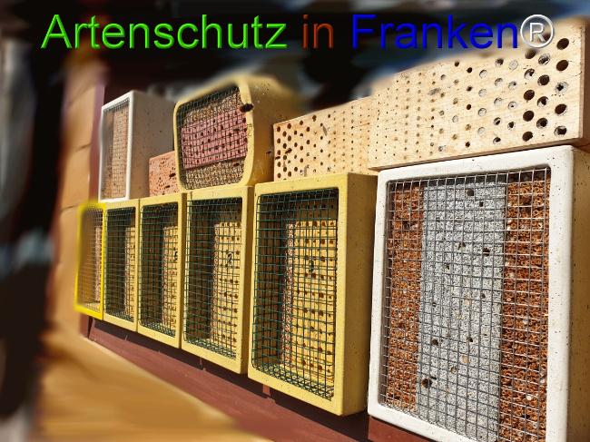 © Artenschutz in Franken® Bild zum Eintrag (1045542-160)