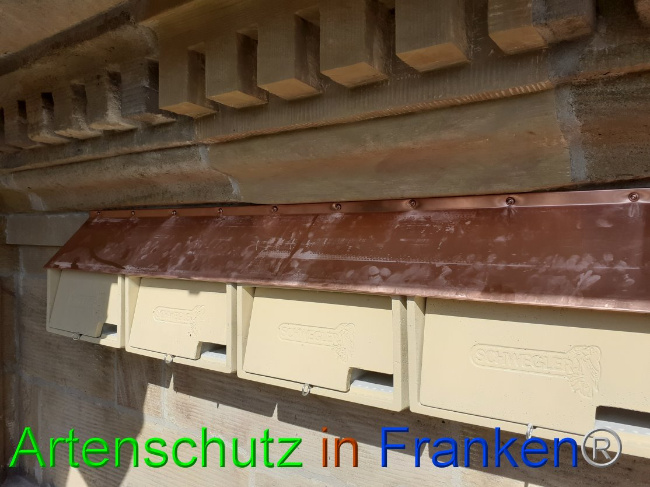 © Artenschutz in Franken® Bild zum Eintrag (1045624-160)