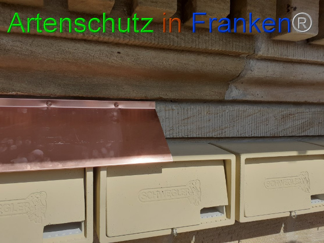 © Artenschutz in Franken® Bild zum Eintrag (1045625-160)