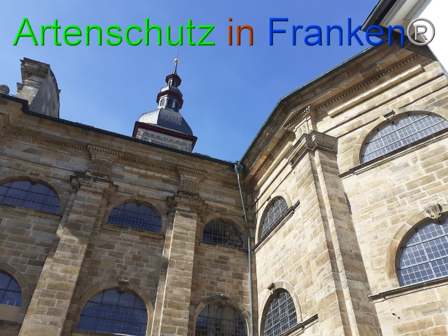 © Artenschutz in Franken® Bild zum Eintrag (1045630-160)