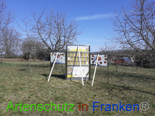 © Artenschutz in Franken® Bild zum Eintrag (1045671-160)