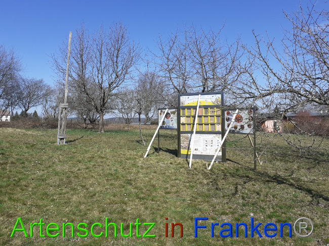 © Artenschutz in Franken® Bild zum Eintrag (1045672-160)