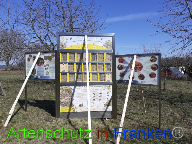 © Artenschutz in Franken® Bild zum Eintrag (1045674-160)
