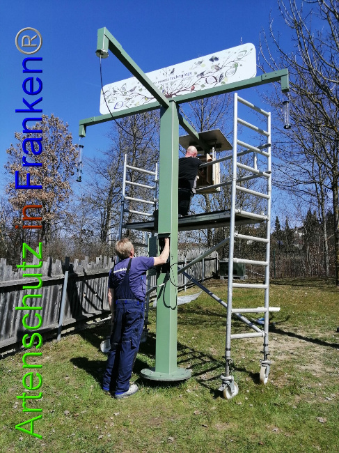 © Artenschutz in Franken® / Kita Blosserberg Bild zum Eintrag (1045755-160)