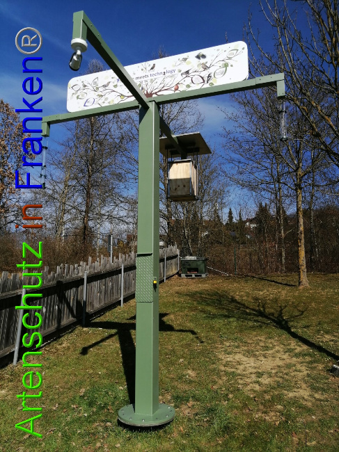 © Artenschutz in Franken® / Kita Blosserberg Bild zum Eintrag (1045758-160)