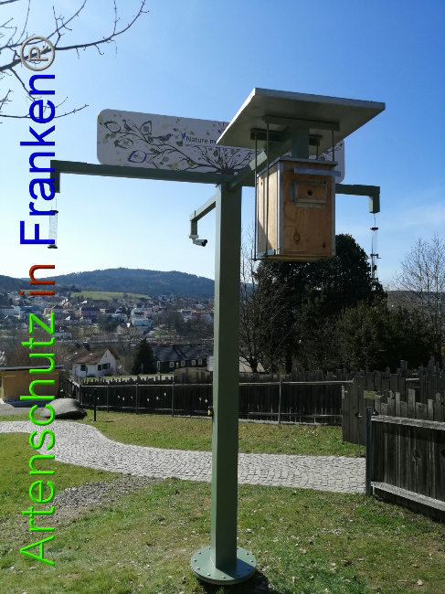 © Artenschutz in Franken® / Kita Blosserberg Bild zum Eintrag (1045759-160)