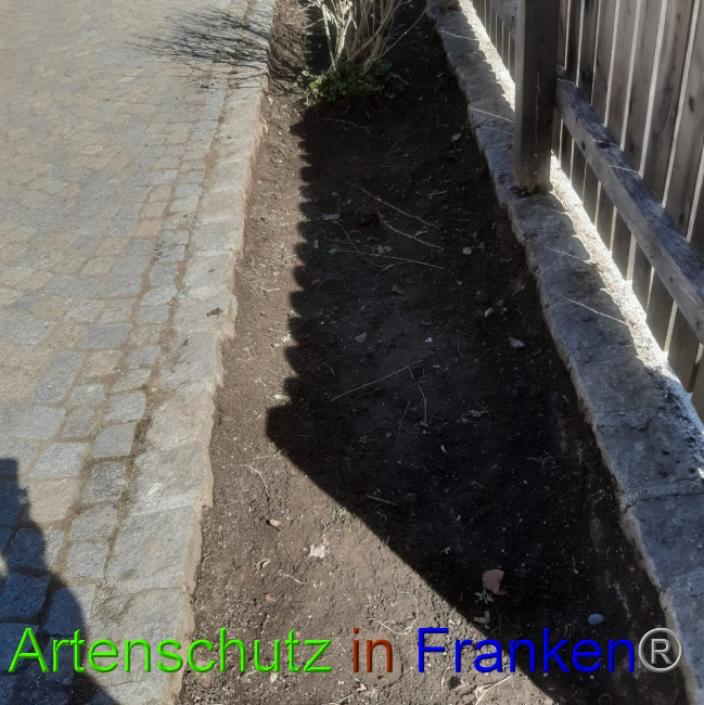 © Artenschutz in Franken® Bild zum Eintrag (1045806-160)