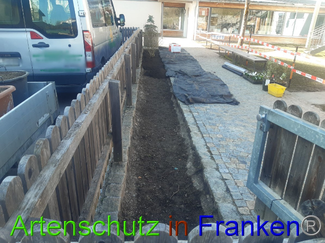 © Artenschutz in Franken® Bild zum Eintrag (1045807-160)