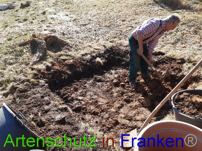 © Artenschutz in Franken® Bild zum Eintrag (1045834-160)