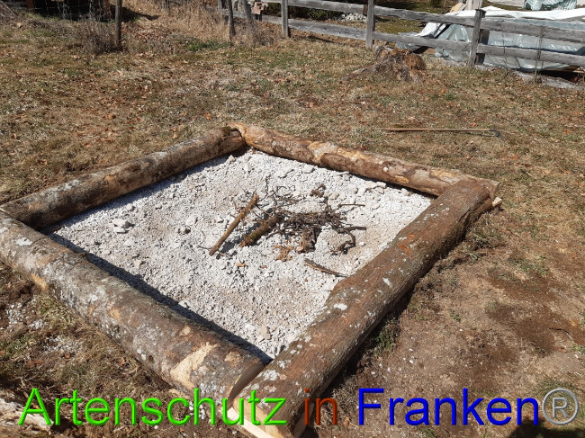 © Artenschutz in Franken® Bild zum Eintrag (1045841-160)
