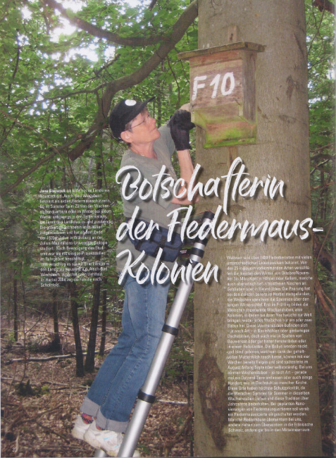 © Magazin einSteiger - Autorin Karin Eigenthaler Bild zum Eintrag (1045877-160)