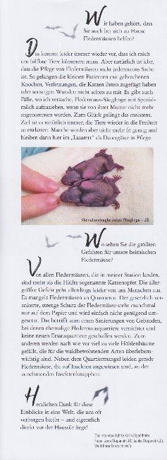© Magazin einSteiger - Autorin Karin Eigenthaler Bild zum Eintrag (1045880-160)