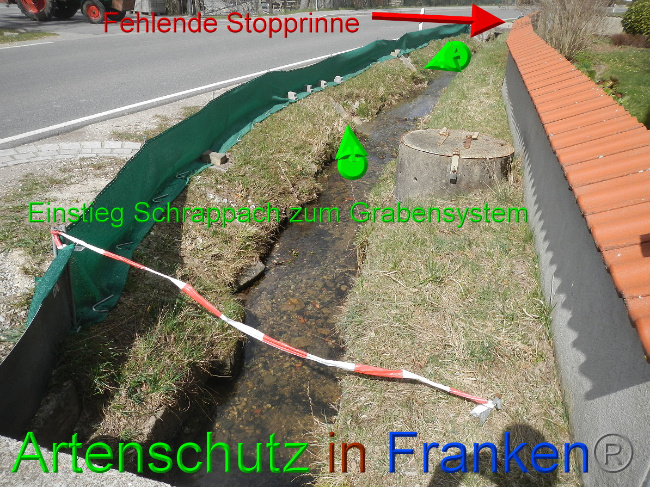 © Artenschutz in Franken® Bild zum Eintrag (1046037-160)