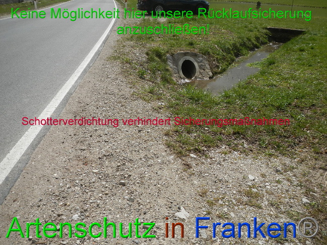 © Artenschutz in Franken® Bild zum Eintrag (1046042-160)