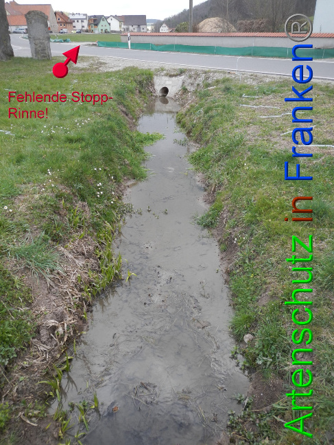 © Artenschutz in Franken® Bild zum Eintrag (1046043-160)