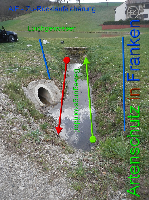 © Artenschutz in Franken® Bild zum Eintrag (1046044-160)