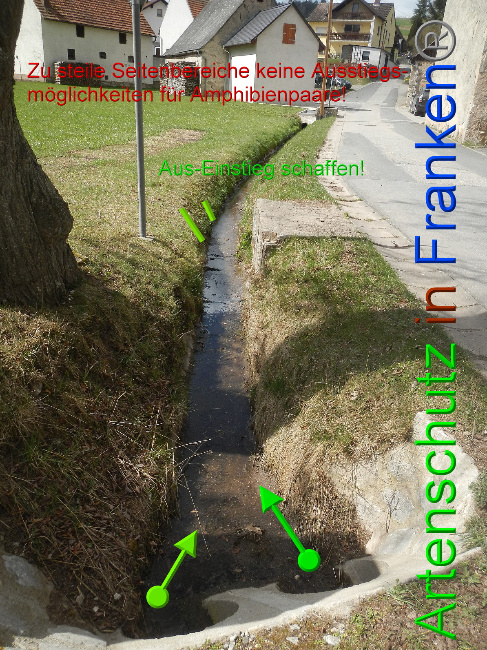 © Artenschutz in Franken® Bild zum Eintrag (1046049-160)