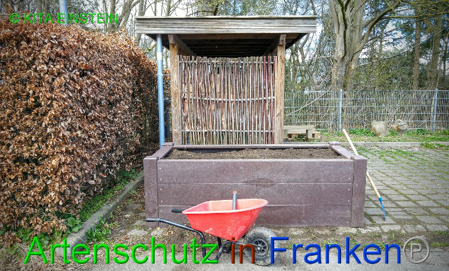 © Artenschutz in Franken® / Kita Einstein Bild zum Eintrag (1046103-160)
