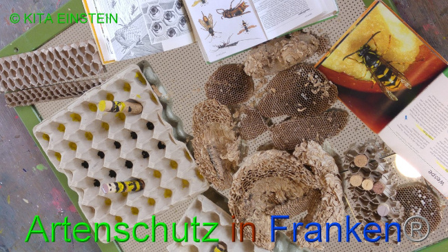 Bild zum Eintrag (1046111-160)