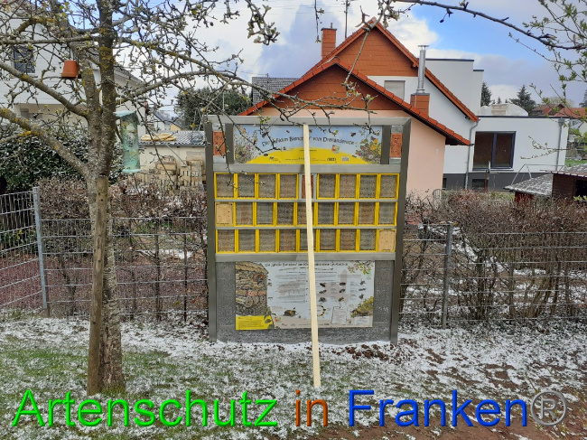 Bild zum Eintrag (1046150-160)