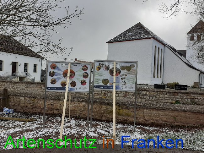 © Artenschutz in Franken® Bild zum Eintrag (1046156-160)