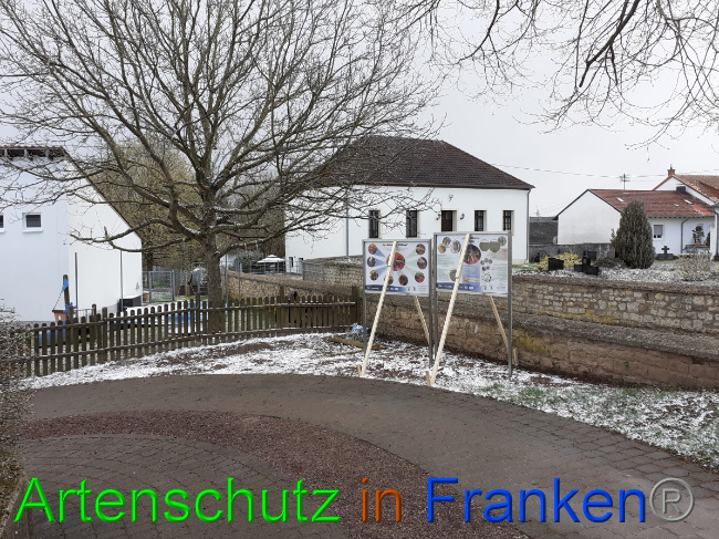 © Artenschutz in Franken® Bild zum Eintrag (1046157-160)