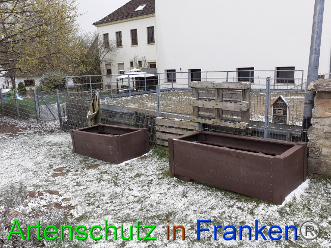 © Artenschutz in Franken® Bild zum Eintrag (1046158-160)