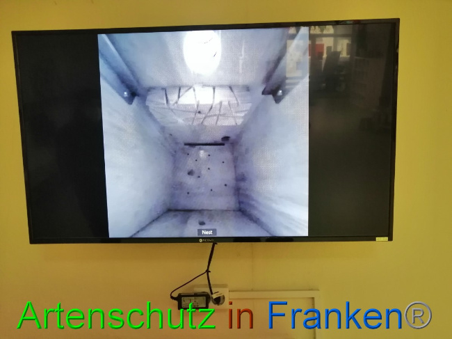 © Artenschutz in Franken® Bild zum Eintrag (1046389-160)