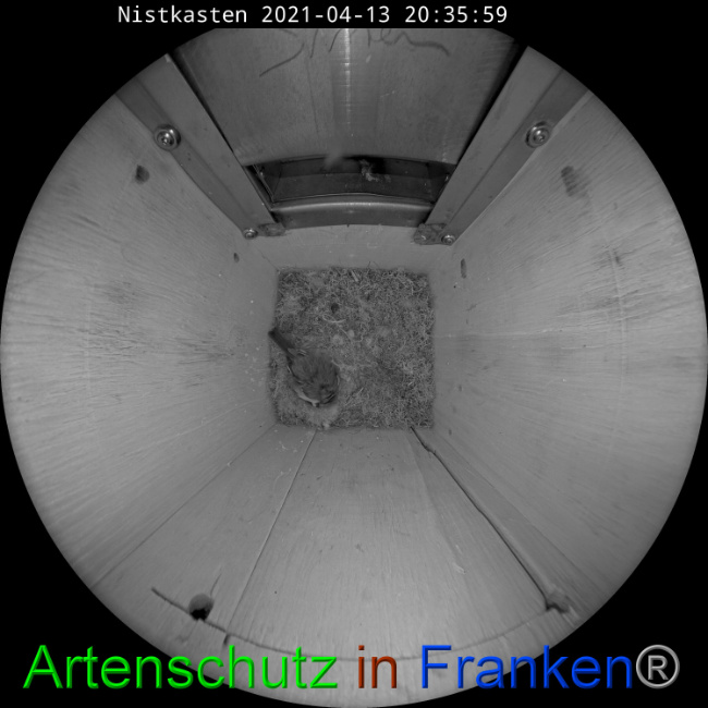 Bild zum Eintrag (1046560-160)