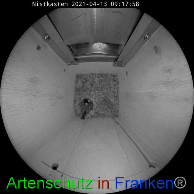 Bild zum Eintrag (1046561-160)