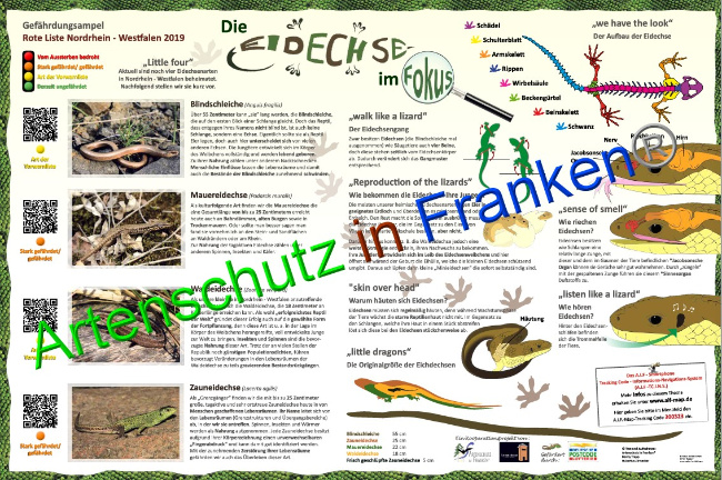 © Artenschutz in Franken® Bild zum Eintrag (1046584-160)