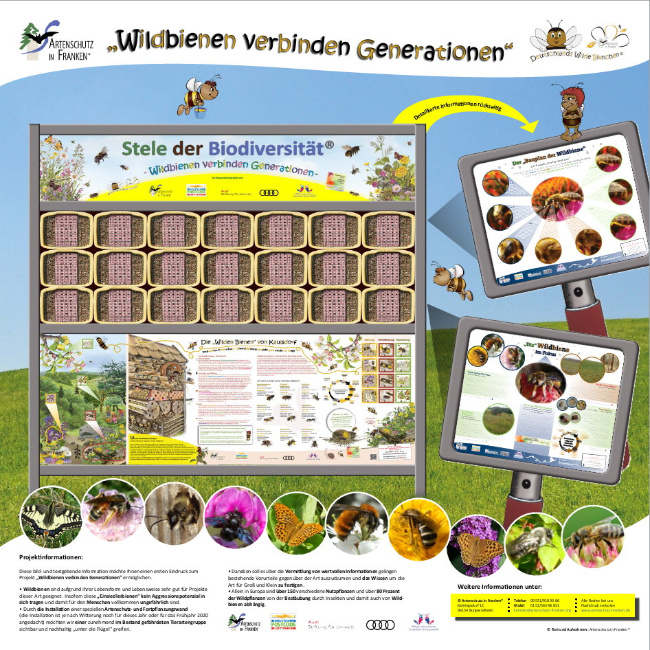 © Artenschutz in Franken® Bild zum Eintrag (1046589-160)